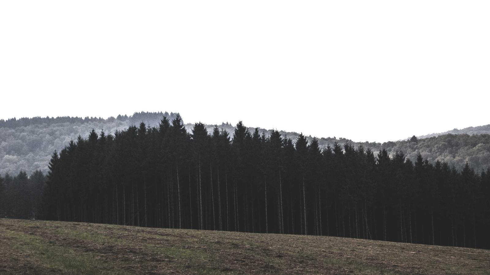 Context image 2